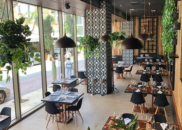 Hotel The Reef 28 & (adults Only) Playa del Carmen